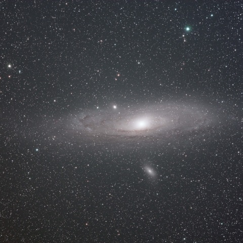 M31