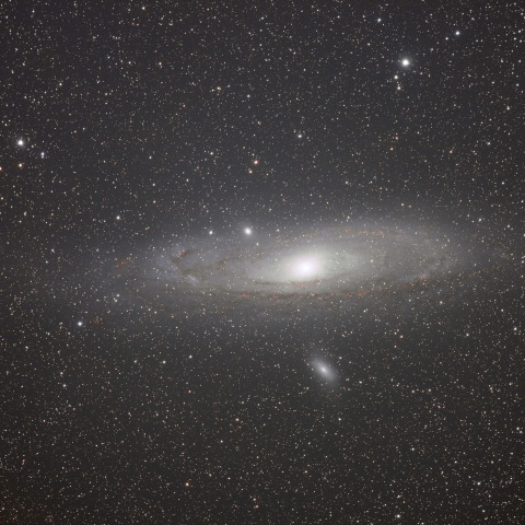 M31