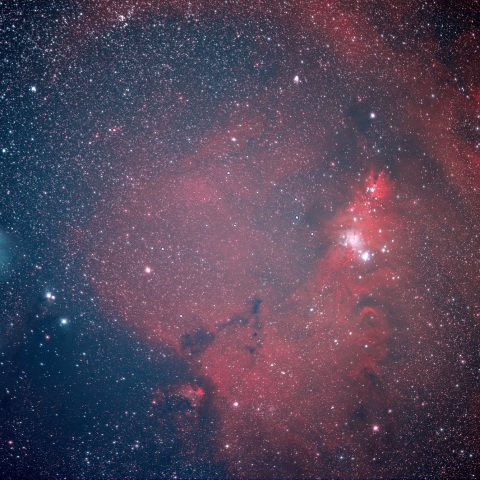 クリスマスツリー星団とカタツムリ星雲