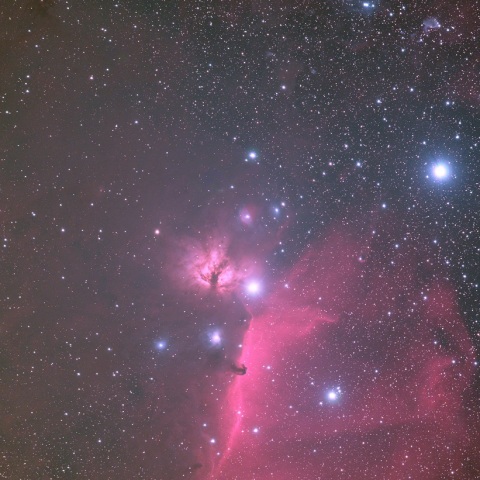 馬頭星雲付近