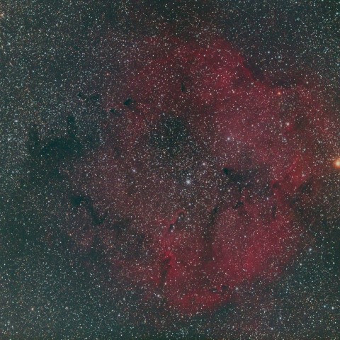 IC1396