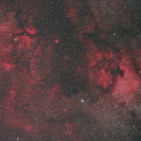 白鳥座の散光星雲