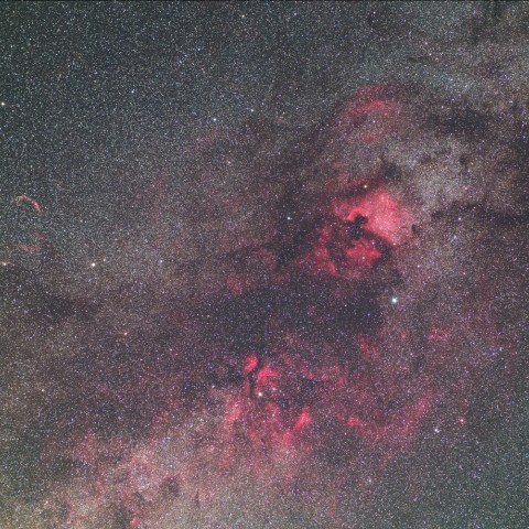 白鳥座の散光星雲２