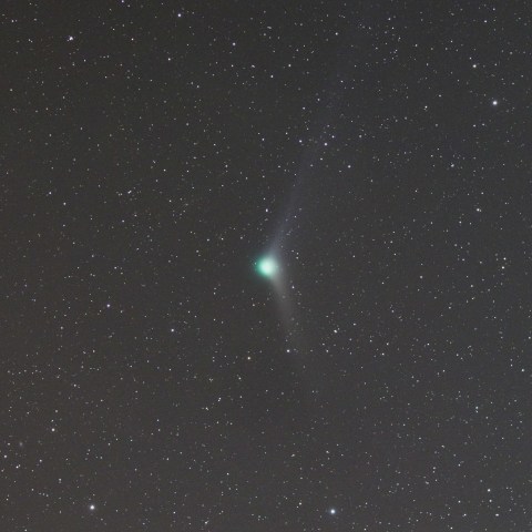 12/19 カタリナ彗星