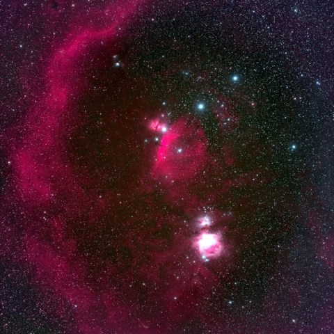 バーナードループ