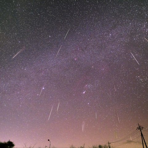 西に沈む冬の星座とふたご座流星群