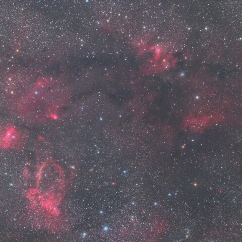 クワガタ星雲から洞窟星雲