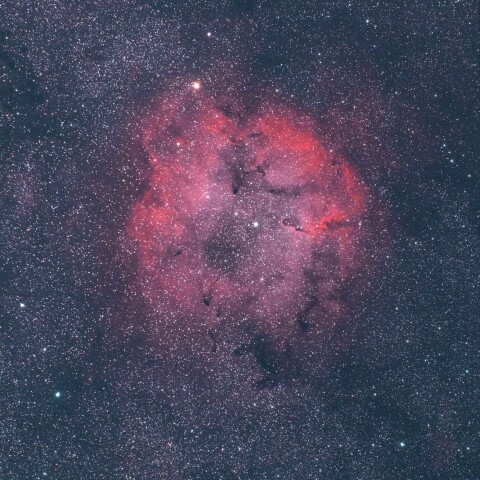 IC1396