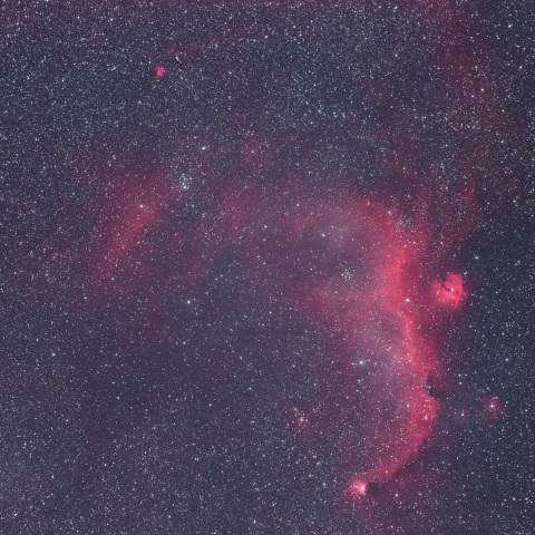 カモメ星雲付近