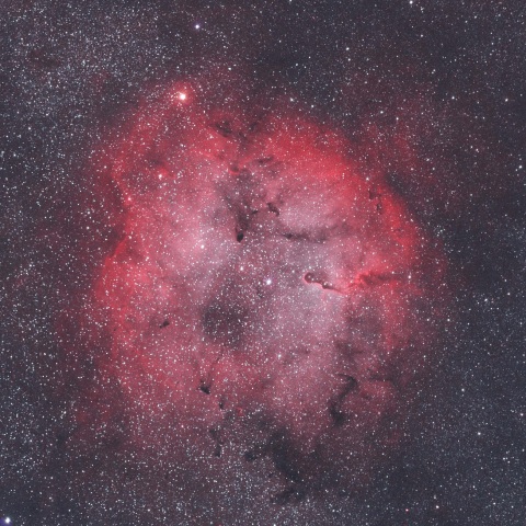 IC1396