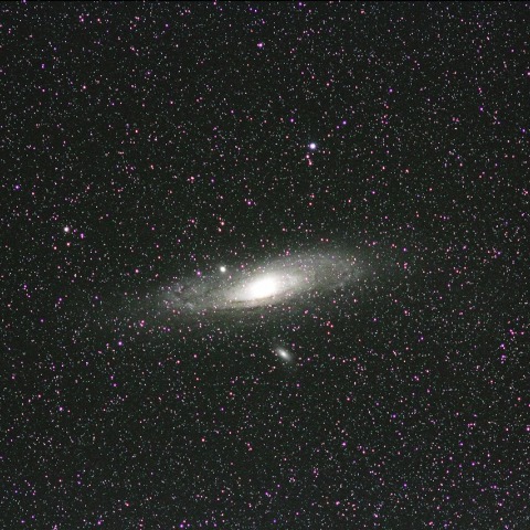 M31