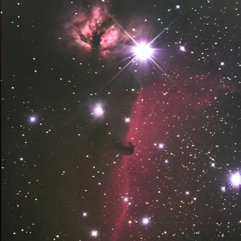 馬頭星雲と燃える木