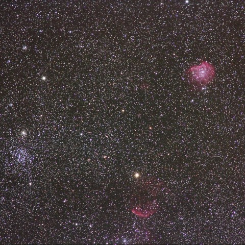 M35, クラゲ星雲、モンキー星雲