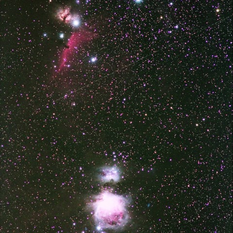 オリオン座中心部