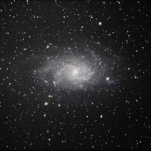 M33