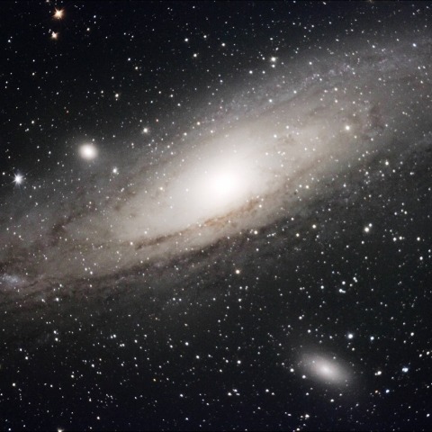 M31