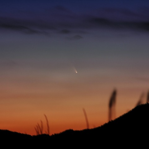 パンスターズ彗星