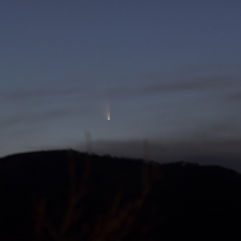 パンスターズ彗星