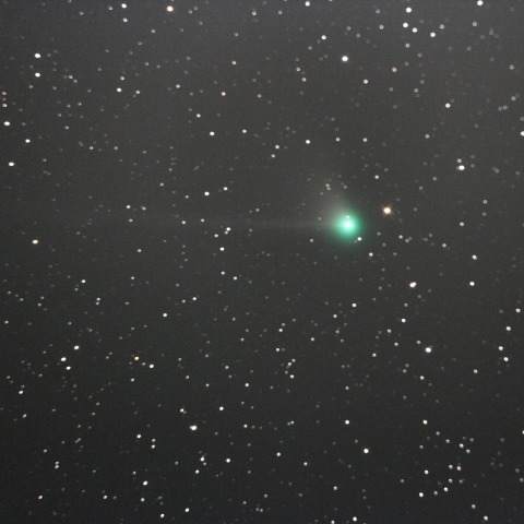 レモン彗星 (C/2012F6)