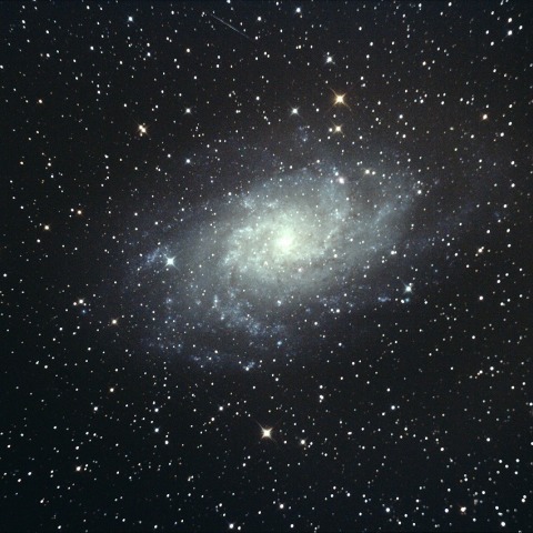 M33