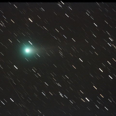 11/09のLovejoy彗星 (C/2013 R1)