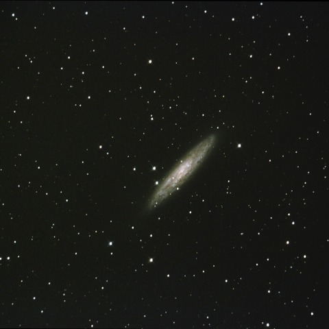 NGC253