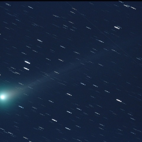 11/16の Lovejoy彗星 (C/2013 R1)