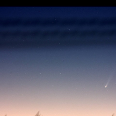 11/23の ISON彗星と水星