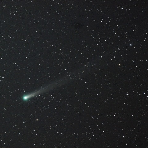 12/01の Lovejoy彗星(C/2013 R1)