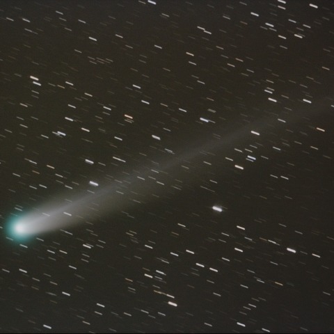 12/15の Lovejoy彗星(C/2013 R1)