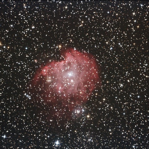 モンキー星雲 NGC2174