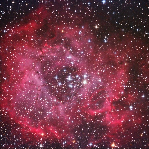 バラ星雲 NGC2237 & NGC2244