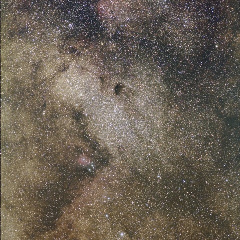 バンビの横顔周辺