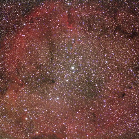 ガーネットスターと IC1396