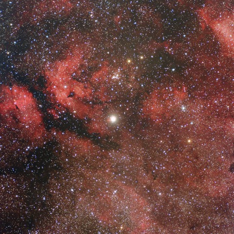 サドル周辺の星雲