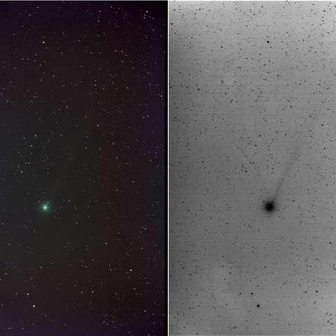 01/03 Lovejoy彗星(C/2014 Q2)