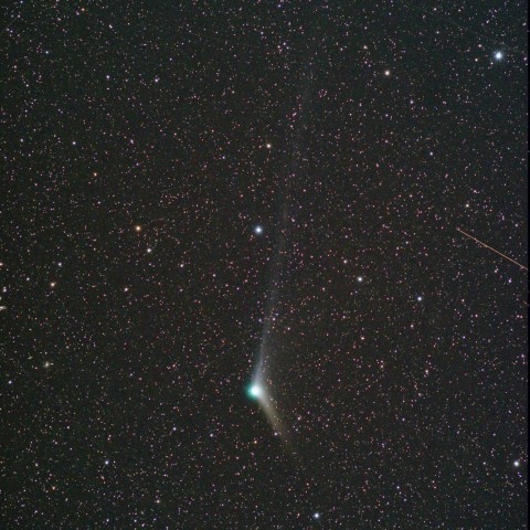 12/19 Catalina彗星(C/2013 US10)