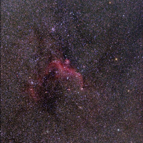 IC2177