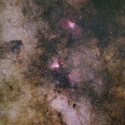 バンビの横顔周辺の星雲