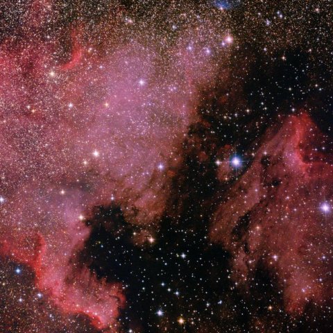 北アメリカ星雲とペリカン星雲