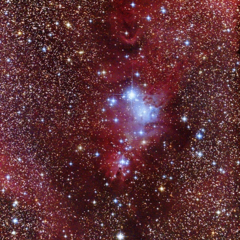 クリスマスツリー星団・コーン星雲周辺