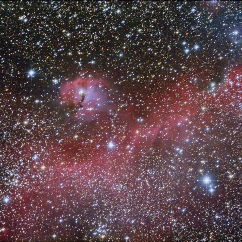 カモメ星雲 - IC2177