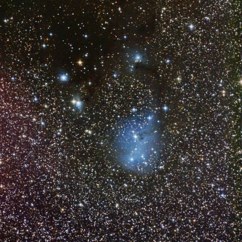 かたつむり星雲(IC2169)