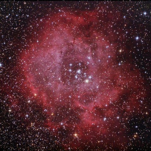 バラ星雲 (NGC2237 & NGC2244)