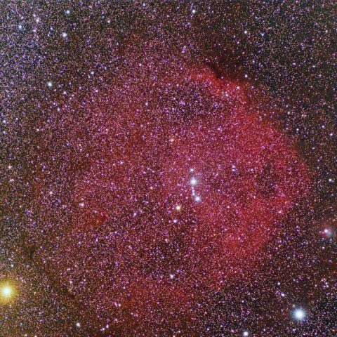 エンゼルフィッシュ星雲 (Sh2-264)