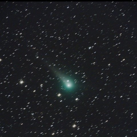 05/20 C/2015V2 (Johnson彗星)