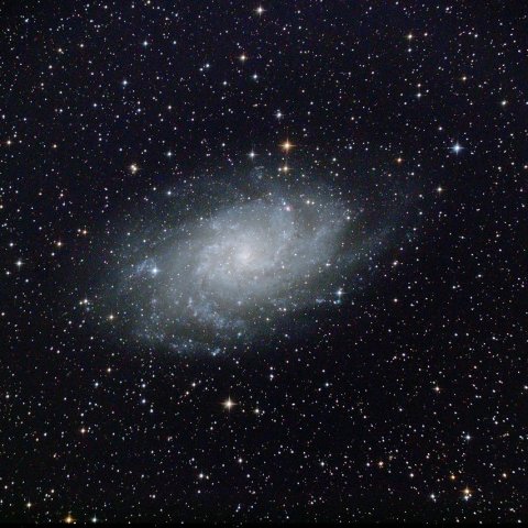 M33