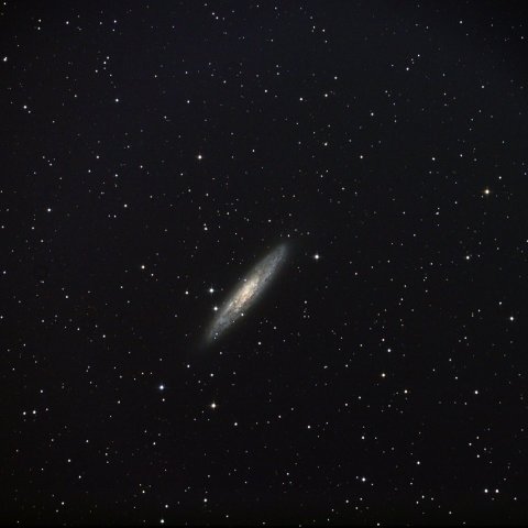 NGC253 (ちょうこくしつ銀河)