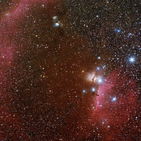 馬頭星雲、M78、バーナードループ