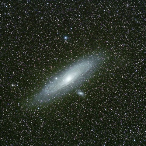 M31